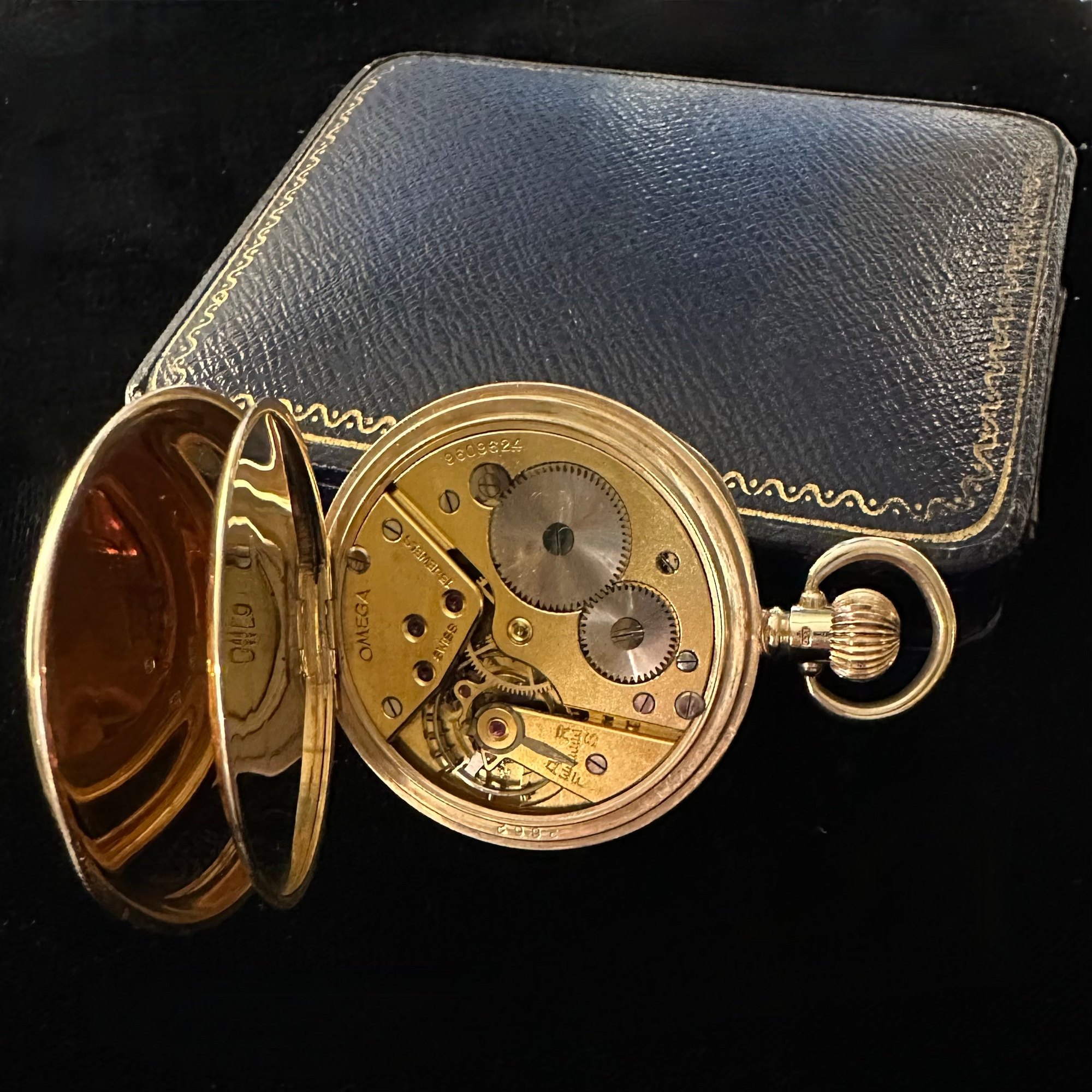 نمای کلی