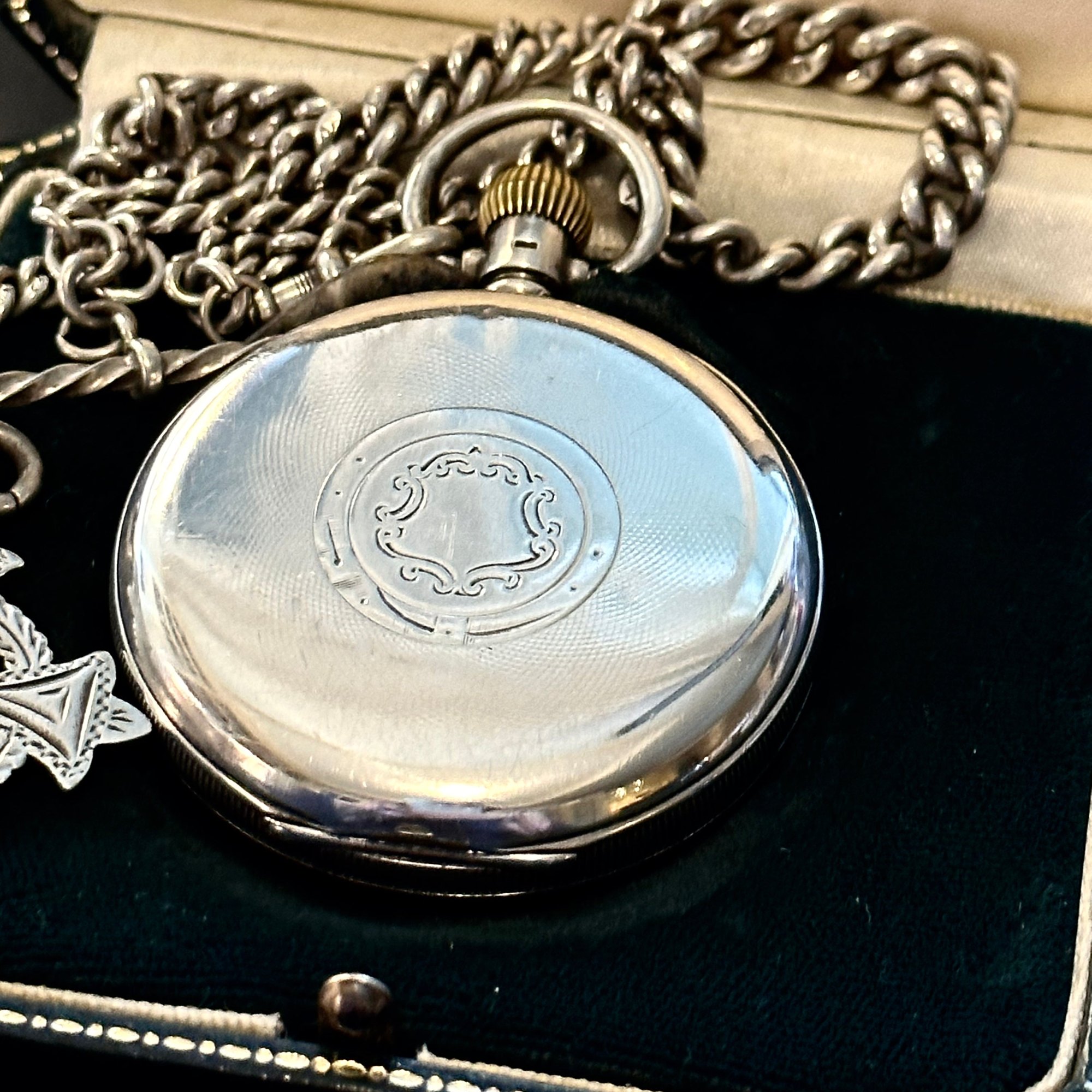 نمای کلی