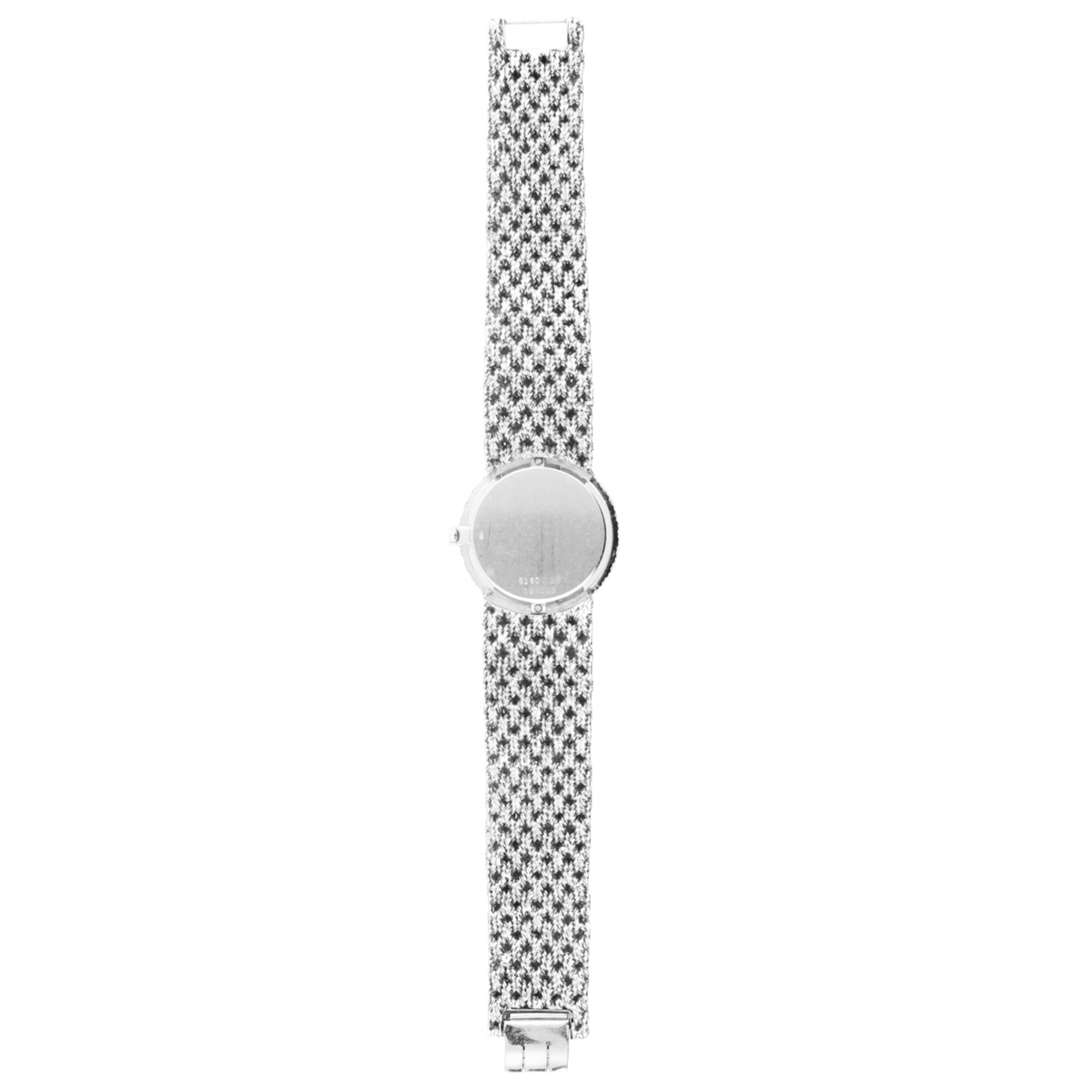 نمای کلی