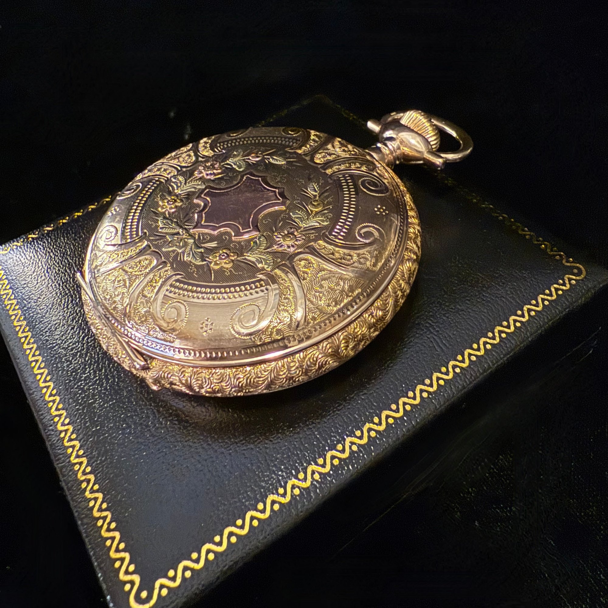 نمای کلی