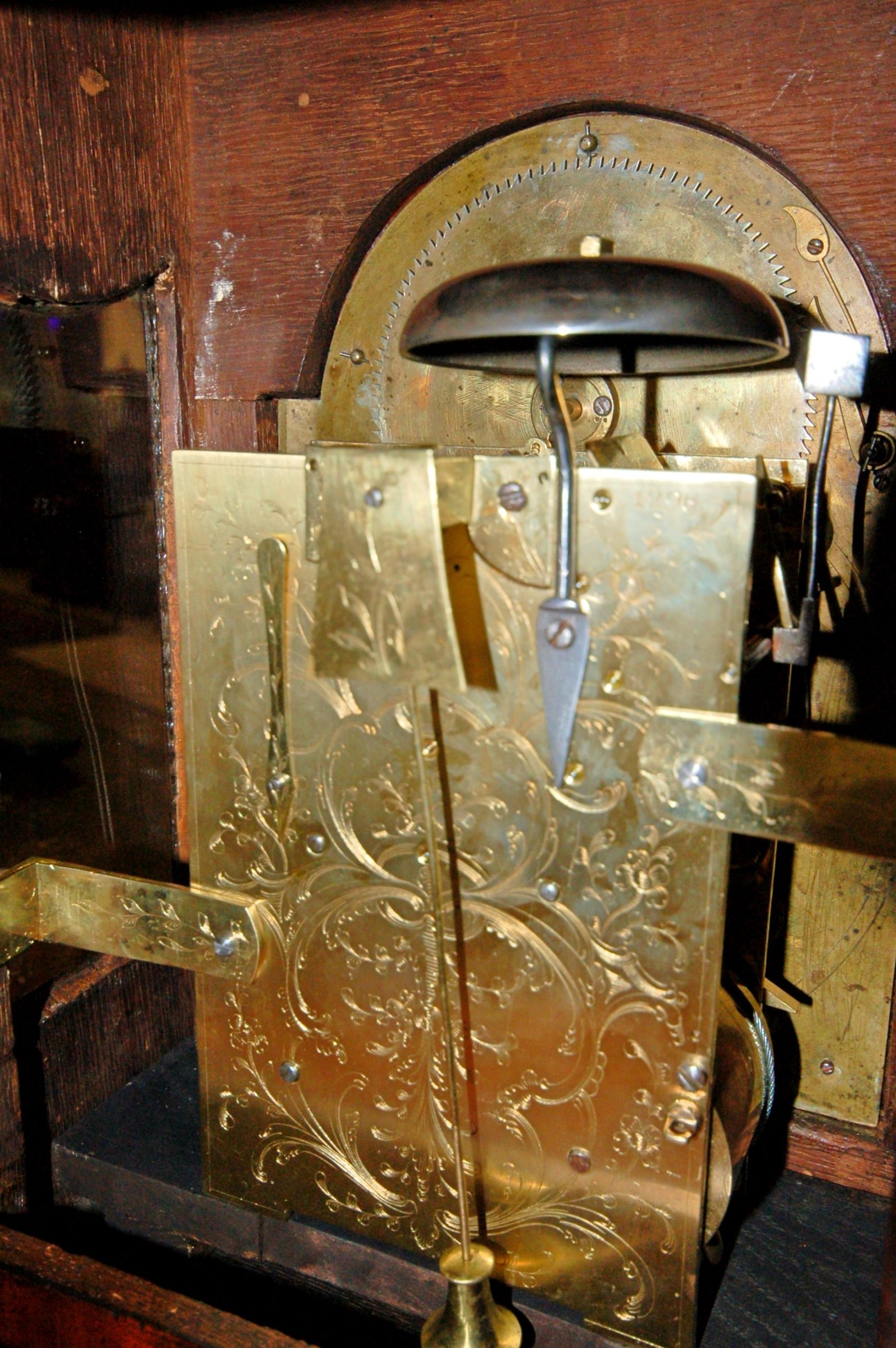 نمای کلی
