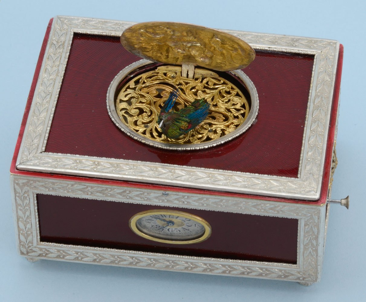 نمای کلی