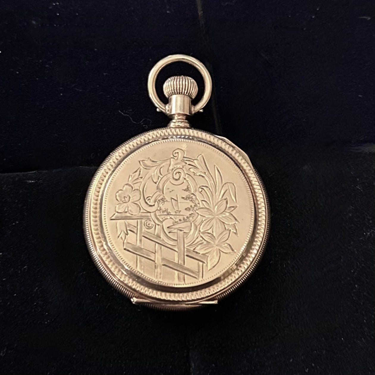 نمای کلی