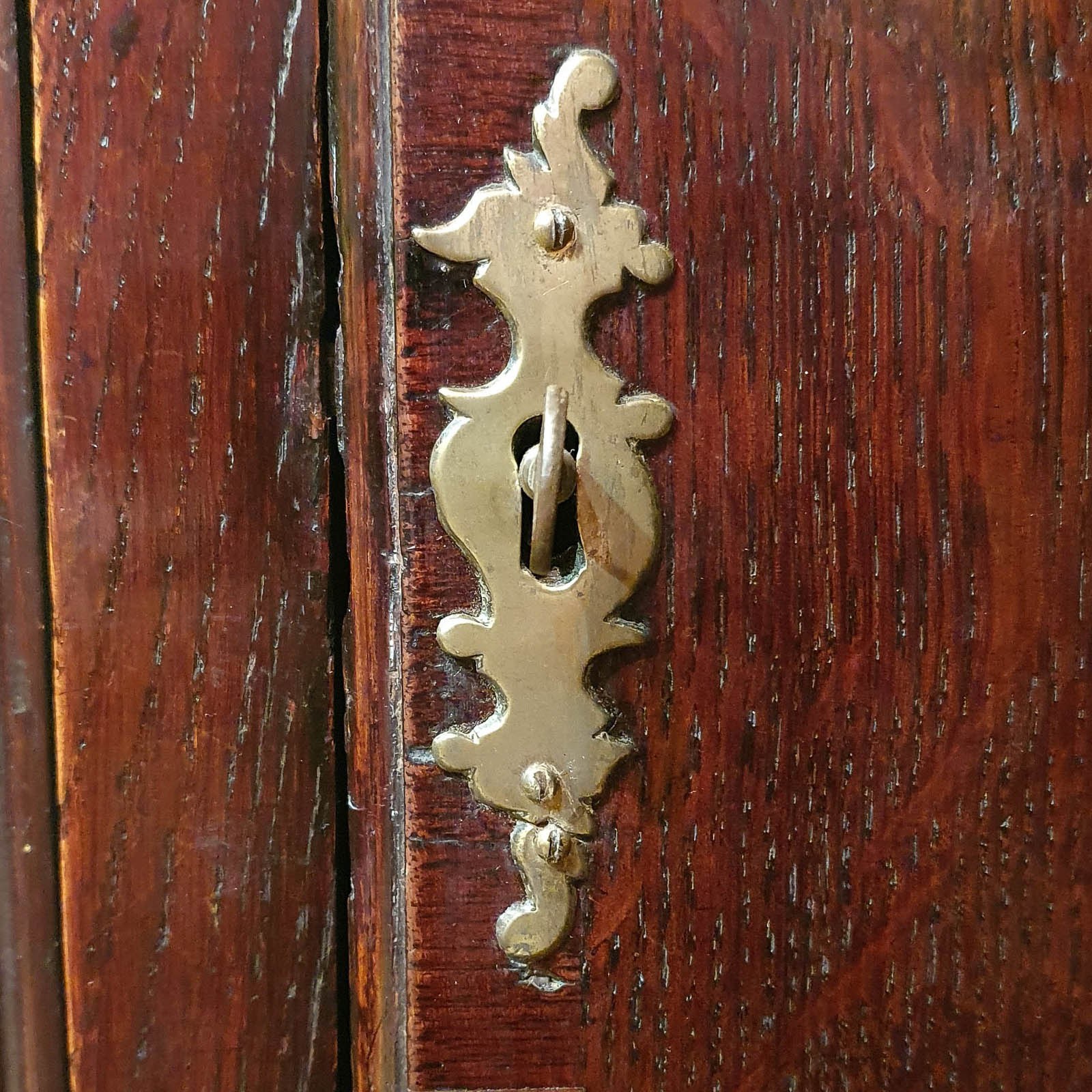 نمای کلی