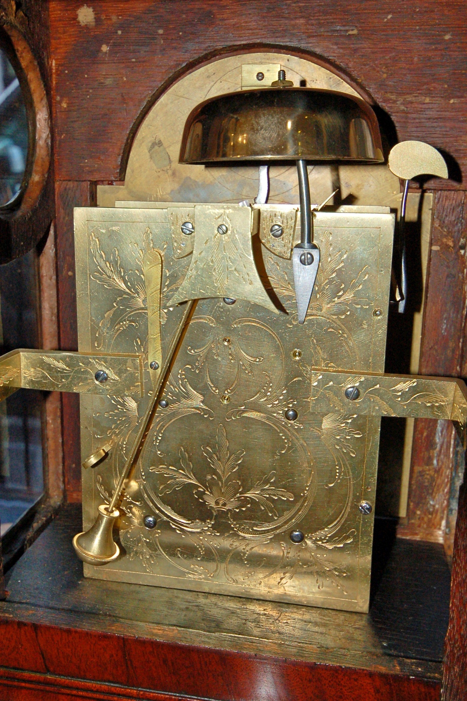 نمای کلی
