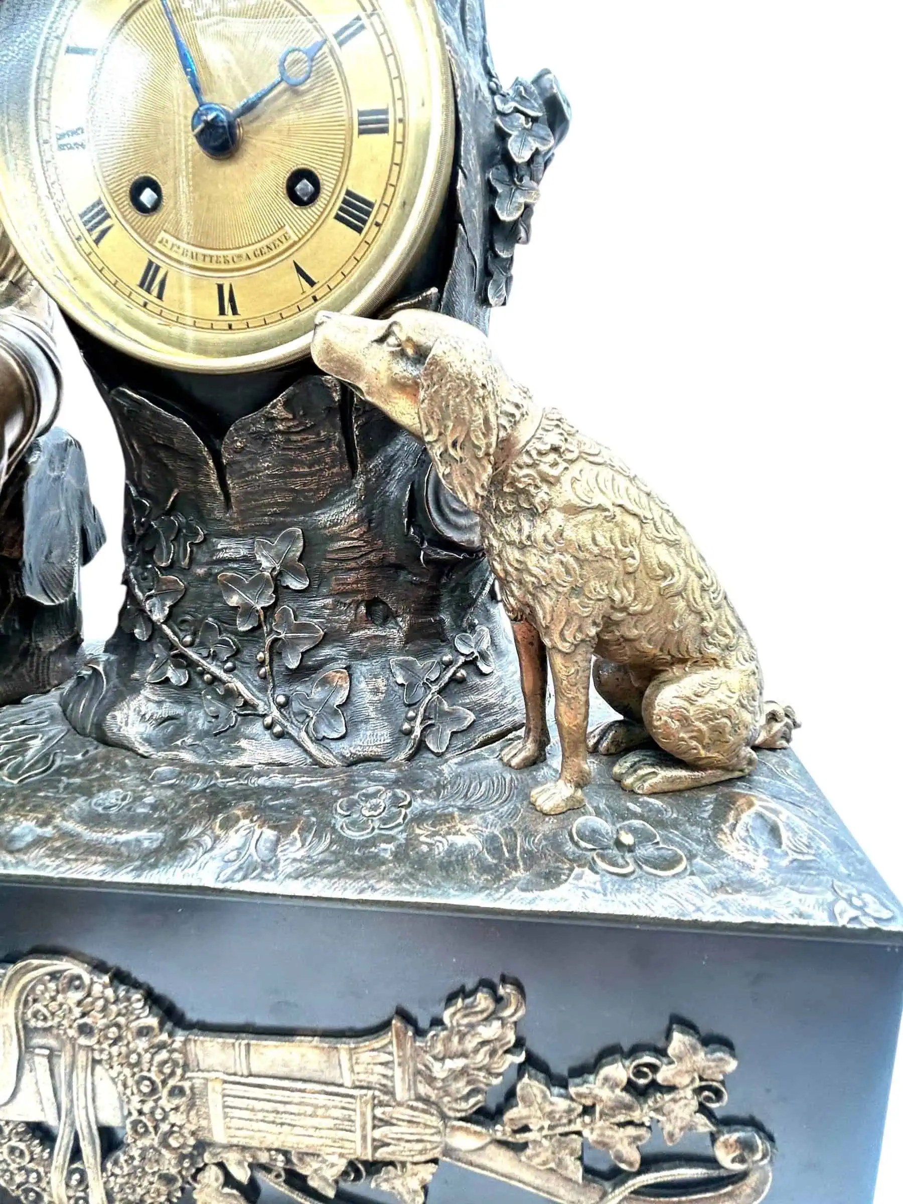 نمای کلی